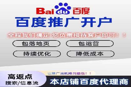 百度竞价代理在某行业的具体应用与效果